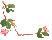 Les Fleurs Des Caraibes Les Merveilles Du Monde De Poupie