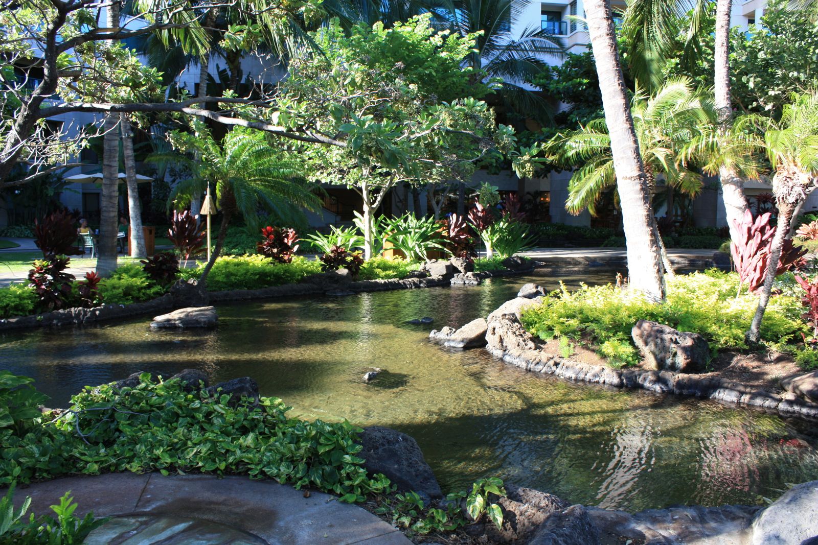 121 Hawaii Ile Oahu Pacifique Les Merveilles Du
