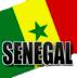 senegal-zap-presse.jpg
