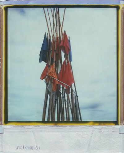polaYeuweb05.jpg