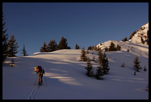 DSC_0013-border.jpg