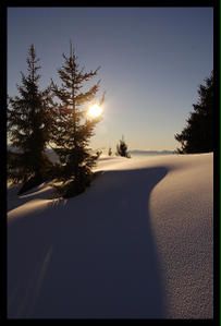 DSC_0016-border.jpg
