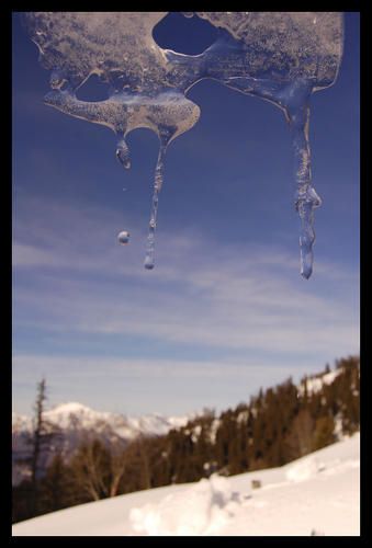 DSC_0186-border.jpg