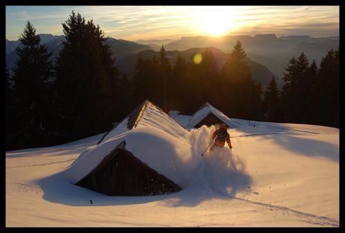 DSC_0252-border.jpg