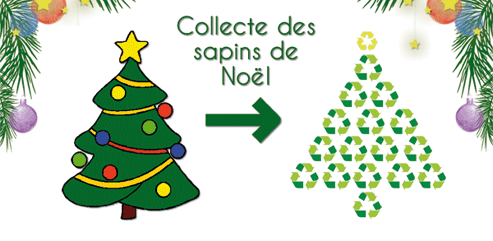 Montreuil,collecte,des,sapins.gif