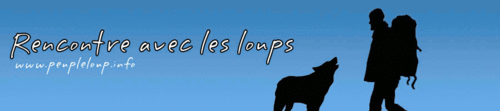 bandeau-coalition-copie-1.gif
