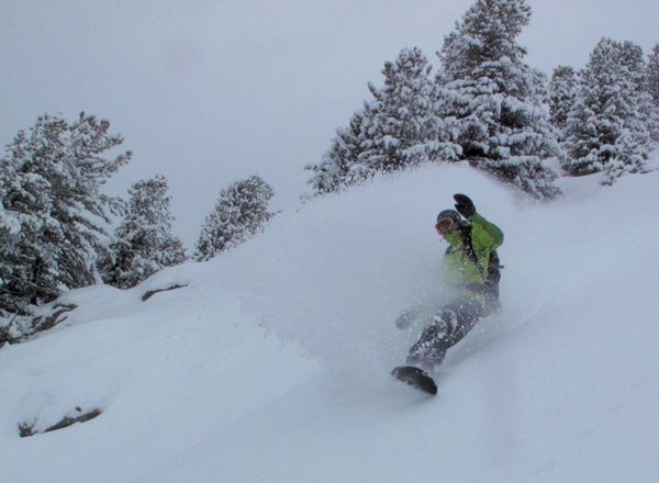 nicopow.jpg