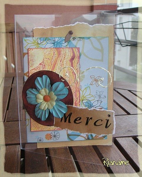 Merci-transparent.jpg