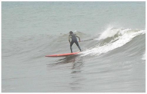 bo-sup-1.jpg