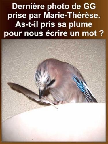GG-derniere-photo.jpg