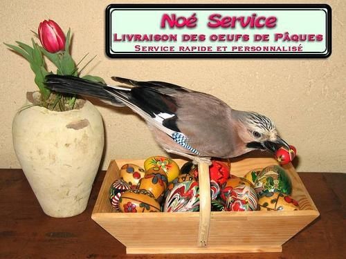 Noe-Service-Paques.jpg