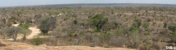 pano 0730