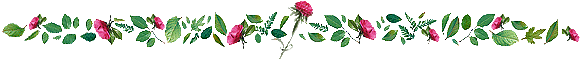 barre-fleur-roses.gif