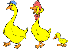 famille-canard.gif