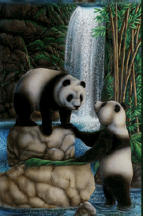 panda.gif