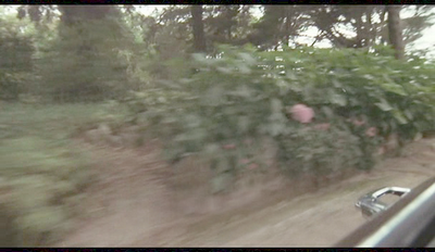 img04voiturewr5.png