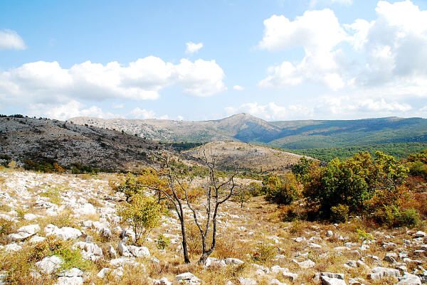 musique de rencontre du troisieme type