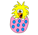 paques poussins016
