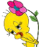 yper-titi31.gif
