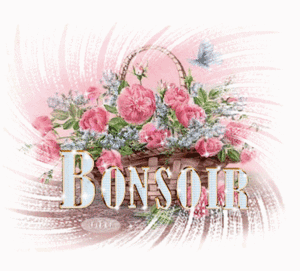 BONSOIR-1