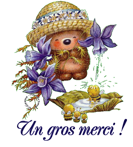 Afficher l'image d'origine