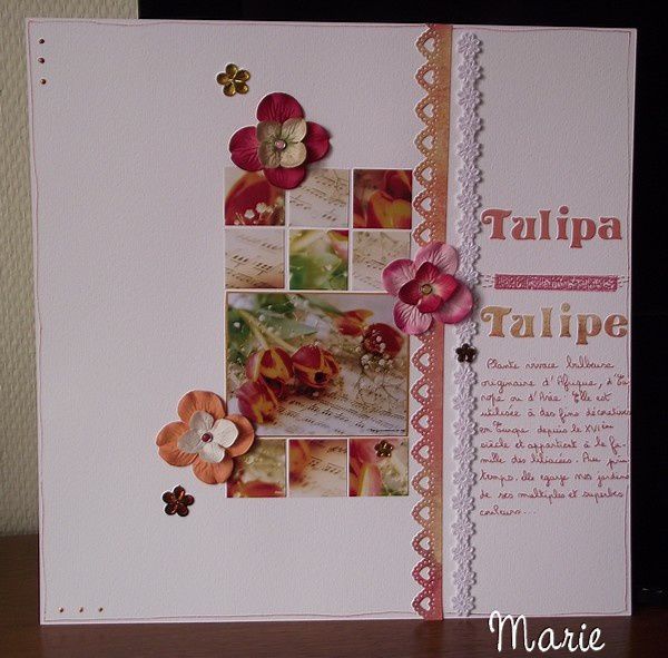 marie-page-tulipe.jpg