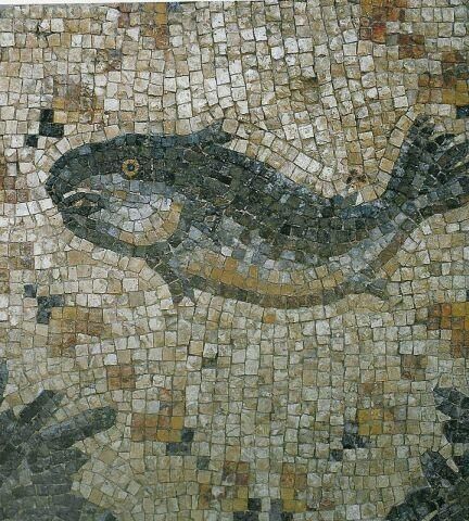 poisson ICHTUS