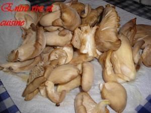 18-ao--t-07-020.jpg