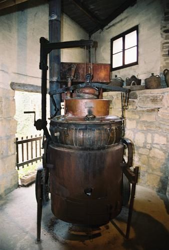 0006-copie-2.jpg