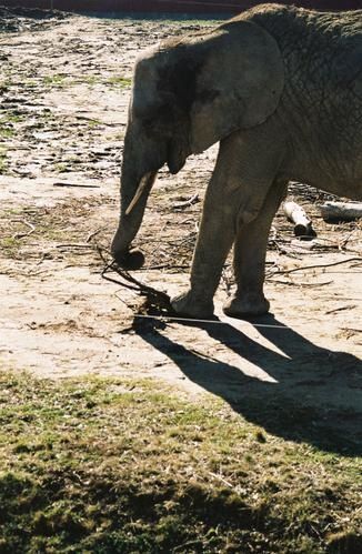 0032-copie-1.jpg