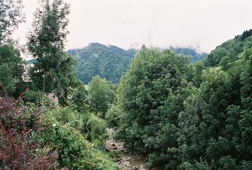 0051-copie-1.jpg
