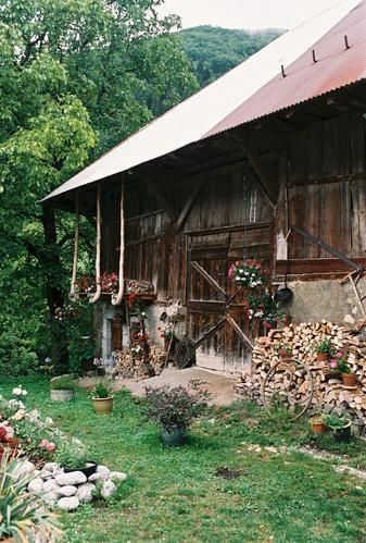 0053-copie-1.jpg