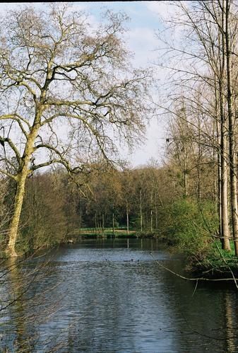 0062-copie-1.jpg