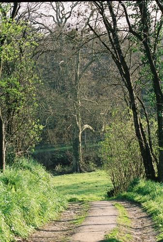 0064-copie-1.jpg