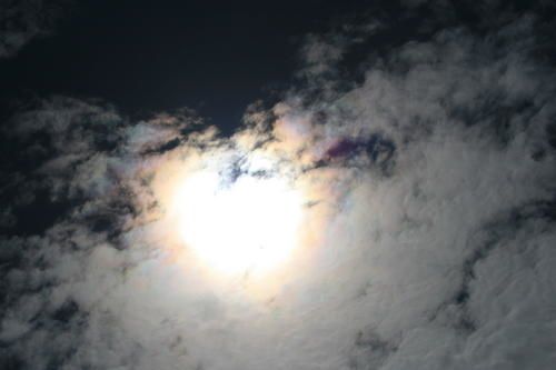IMG-0054.JPG