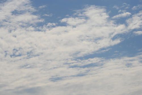 IMG-0062.JPG