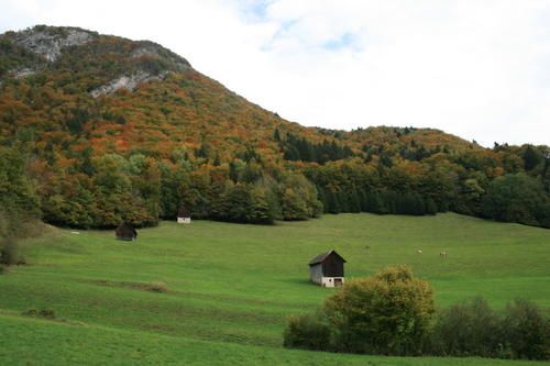 IMG-0275.JPG