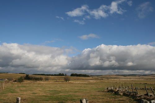 IMG-0682.JPG