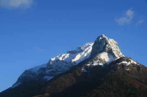 IMG-0773.JPG