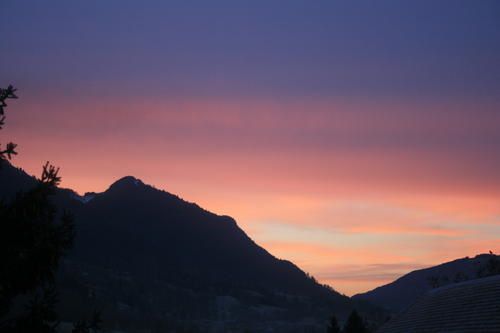 IMG-0779.JPG