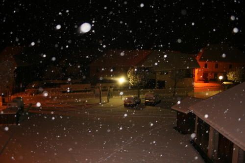 IMG-0782.JPG
