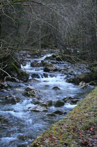 IMG-0852.JPG