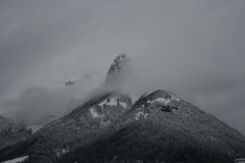 IMG-1191.JPG