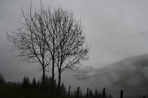 IMG-1196.JPG