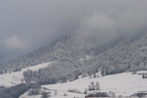 IMG-1232.JPG