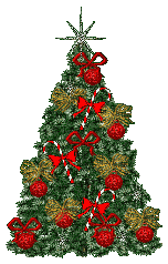 11.gif