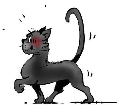 le chat noir