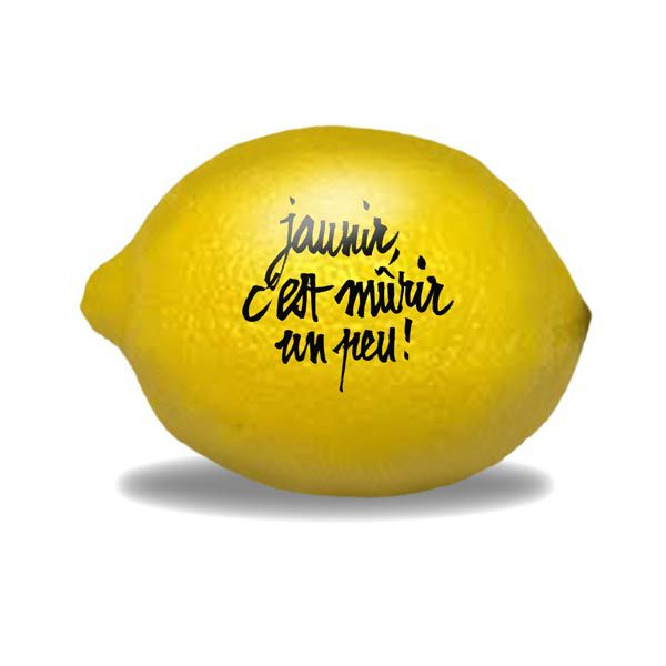 Résultat de recherche d'images pour "citron humour"