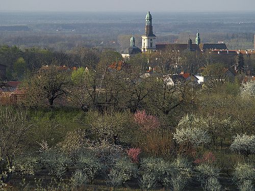 trzebnica-vue.jpg
