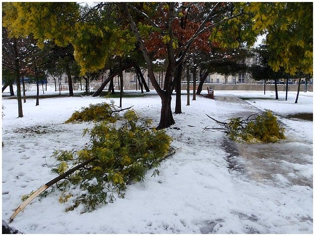 Neige 010-copie-1